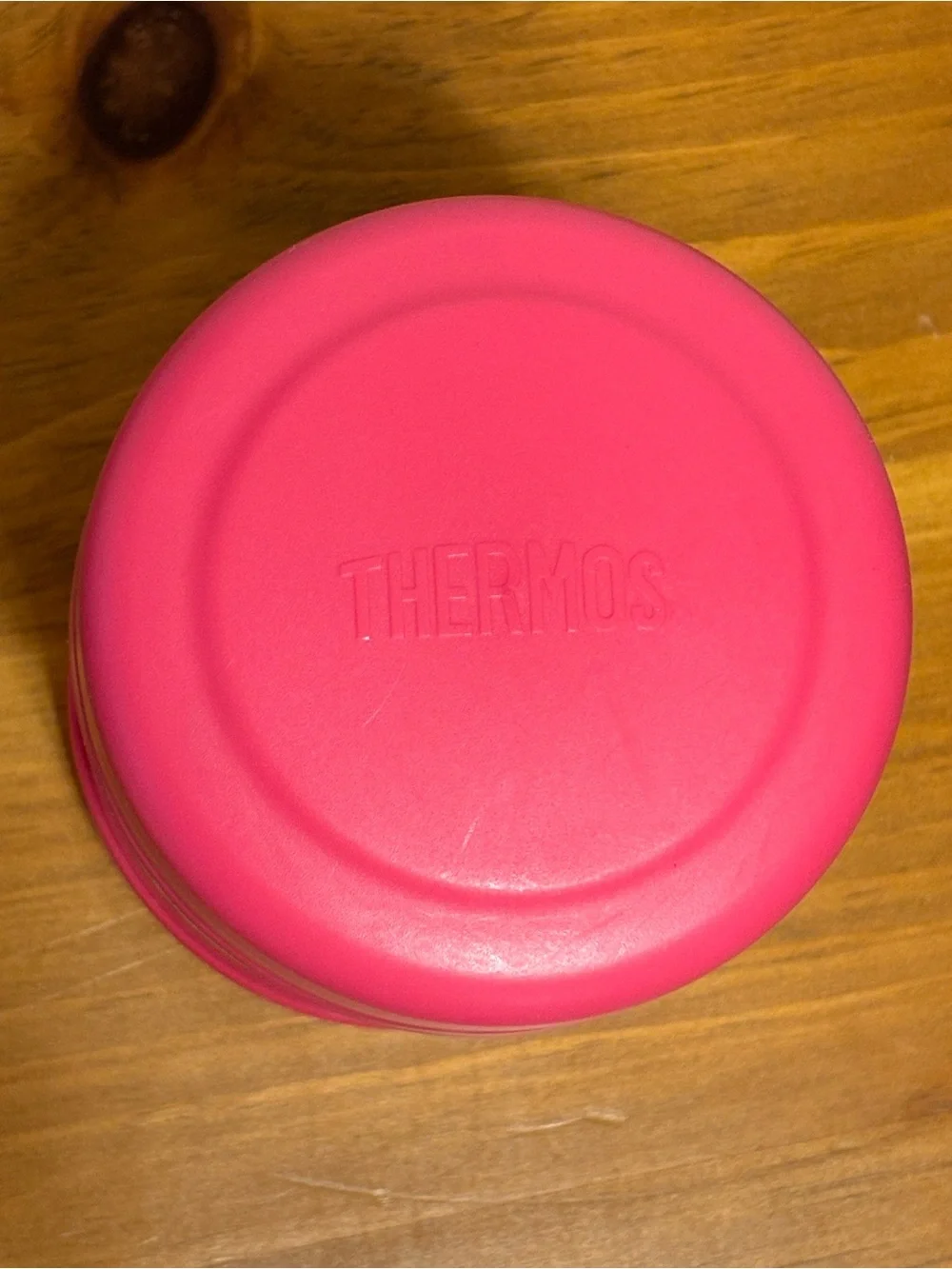 Thermos 10 oz. Pink Stainless Food Jar